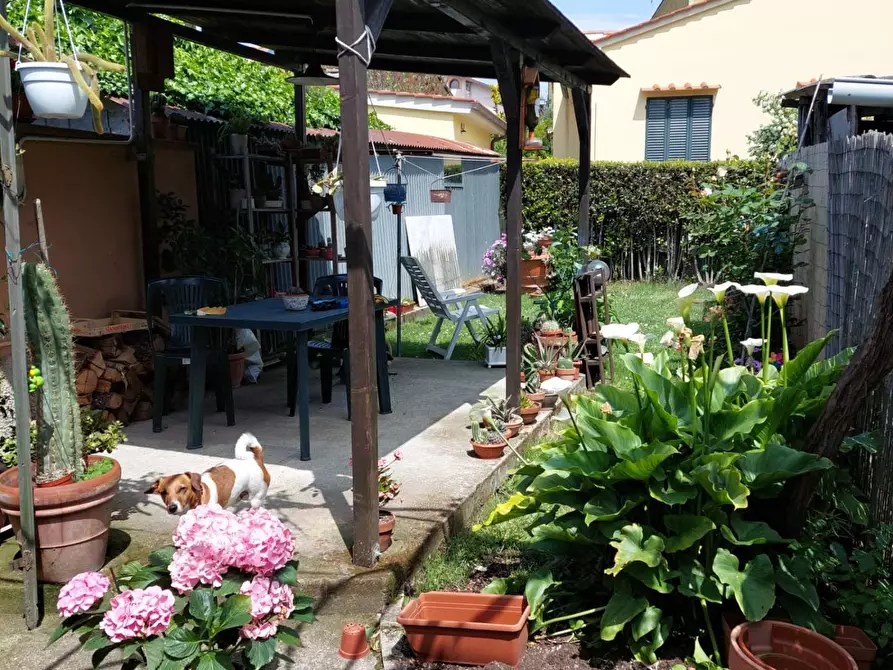 Immagine 20 di Appartamento in vendita  a Terricciola