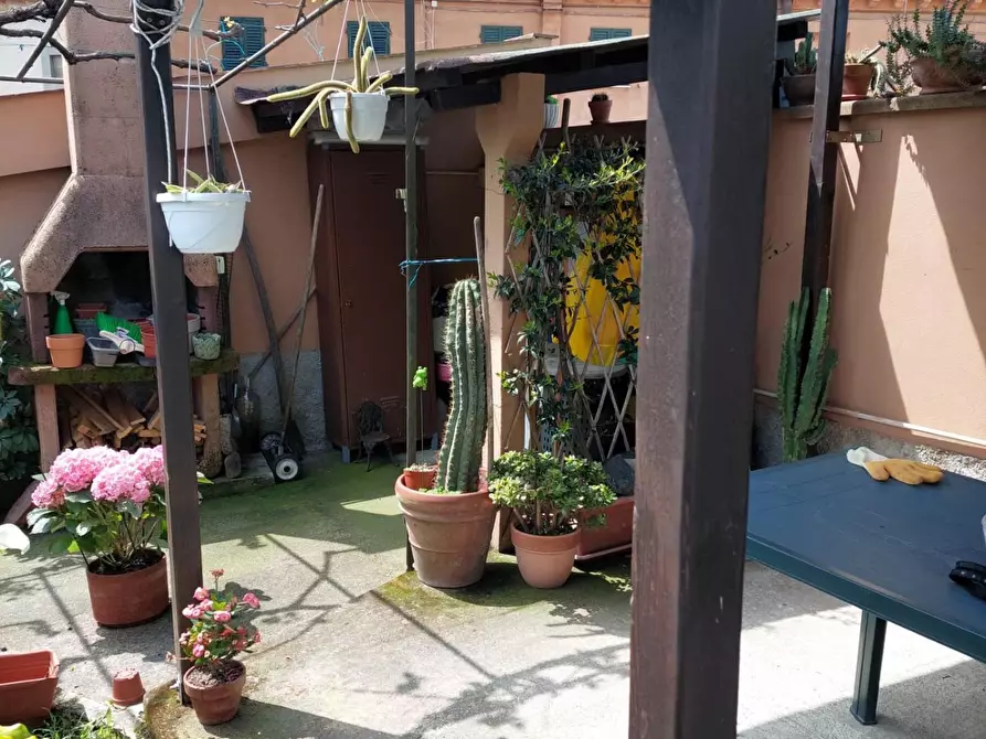 Immagine 19 di Appartamento in vendita  a Terricciola