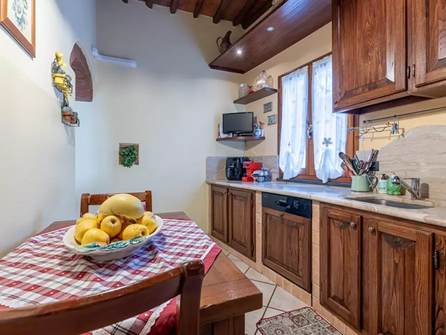 Immagine 4 di Appartamento in vendita  a Terricciola