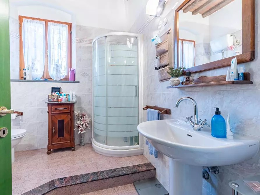 Immagine 18 di Appartamento in vendita  a Terricciola