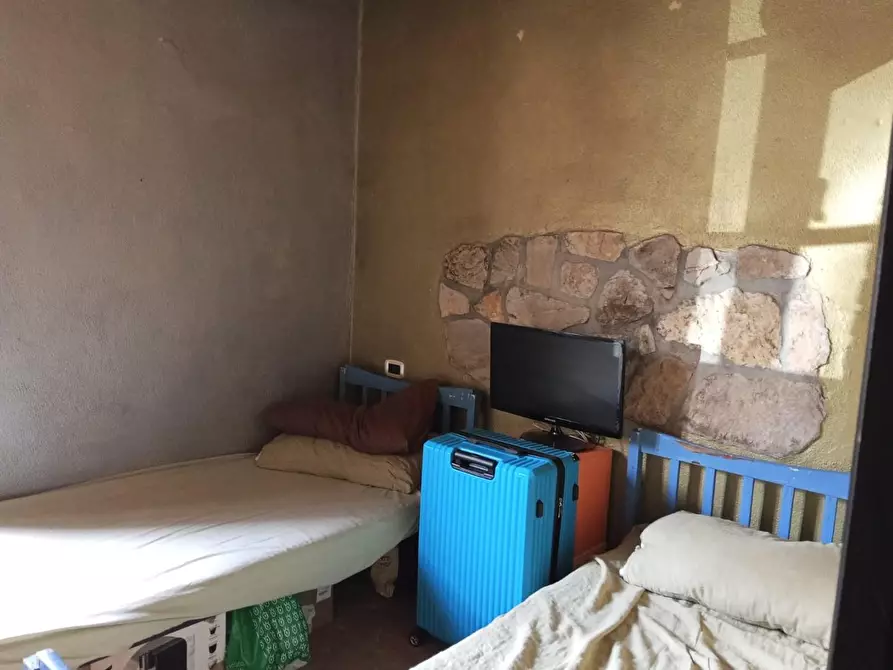 Immagine 6 di Terratetto in vendita  a Semproniano