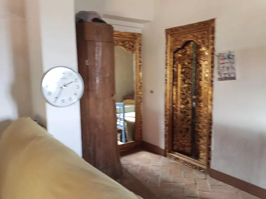 Immagine 13 di Terratetto in vendita  a Semproniano