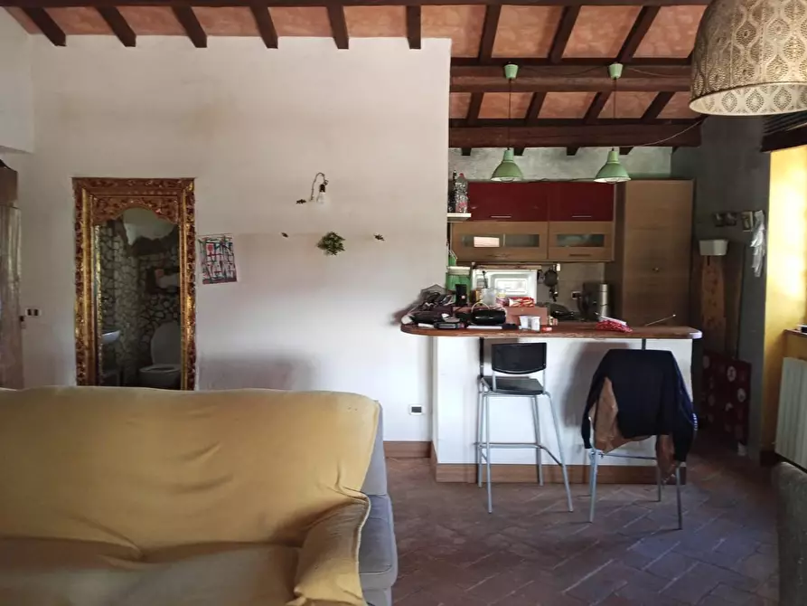 Immagine 8 di Terratetto in vendita  a Semproniano