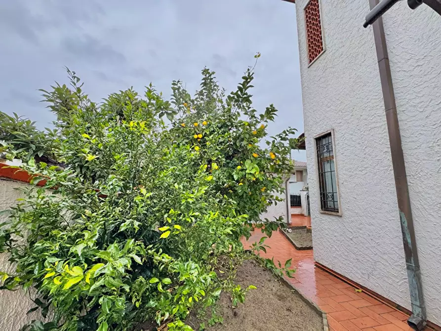 Immagine 5 di Villetta a schiera in vendita  a Viareggio