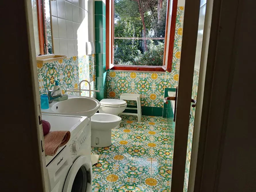 Immagine 16 di Appartamento in affitto  a Rosignano Marittimo