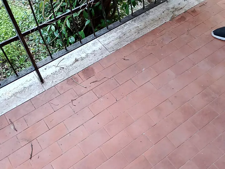 Immagine 18 di Appartamento in affitto  a Rosignano Marittimo