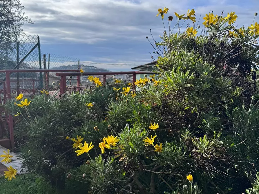 Immagine 3 di Casa semindipendente in vendita  a Massa