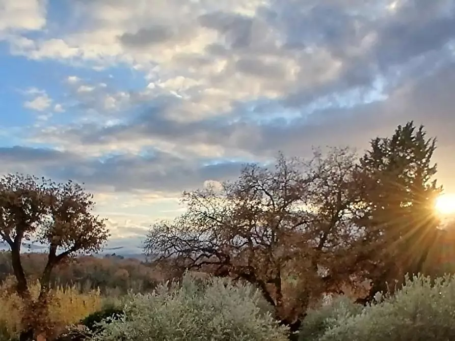 Immagine 19 di Appartamento in vendita  a Colle Di Val D'elsa