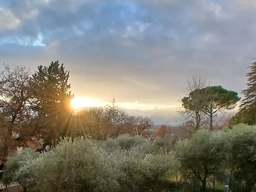 Immagine 18 di Appartamento in vendita  a Colle Di Val D'elsa