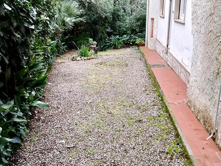 Immagine 19 di Appartamento in affitto  a Rosignano Marittimo