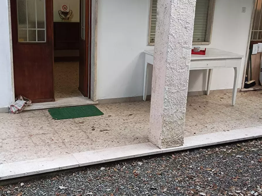 Immagine 21 di Appartamento in affitto  a Rosignano Marittimo