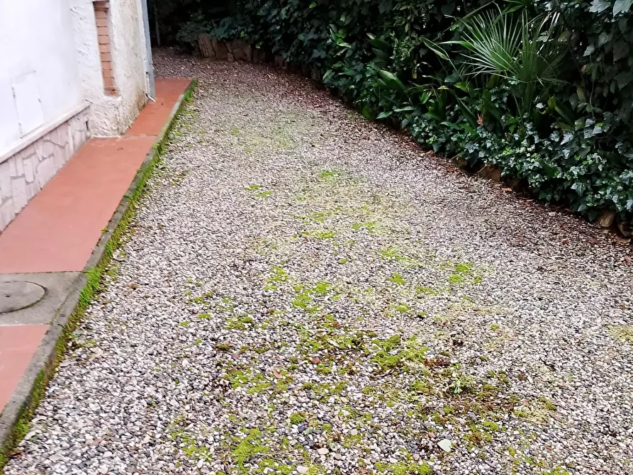 Immagine 20 di Appartamento in affitto  a Rosignano Marittimo