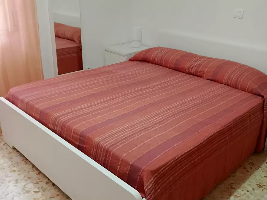 Immagine 11 di Appartamento in affitto  a Rosignano Marittimo