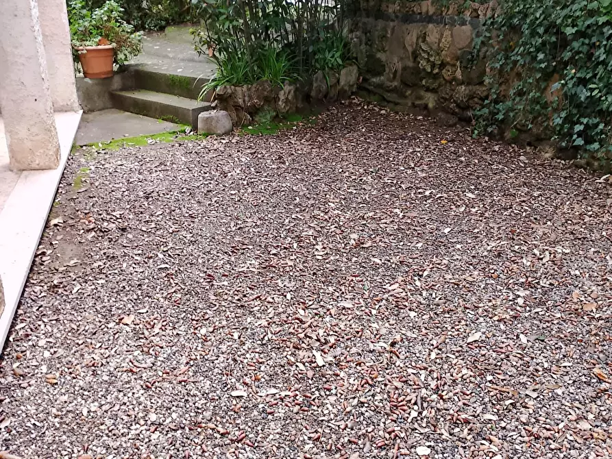 Immagine 22 di Appartamento in affitto  a Rosignano Marittimo