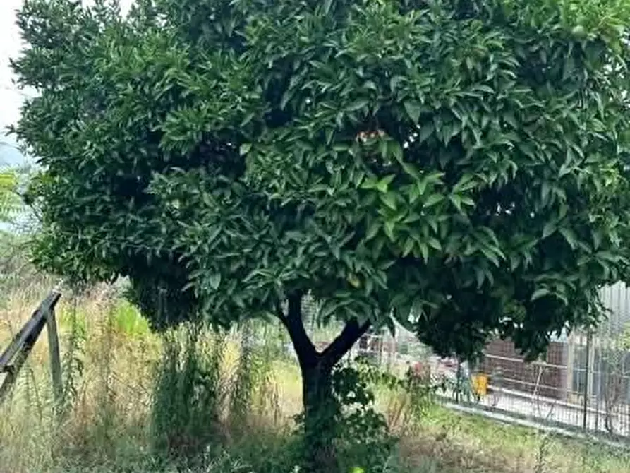 Immagine 6 di Casa semindipendente in vendita  a Carrara