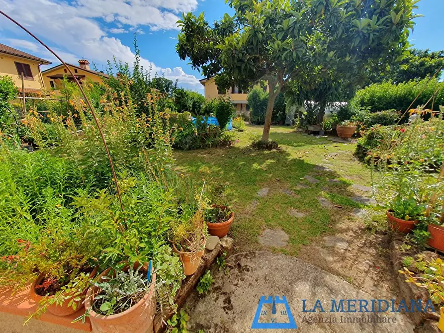 Immagine 4 di Terratetto in vendita  a Larciano