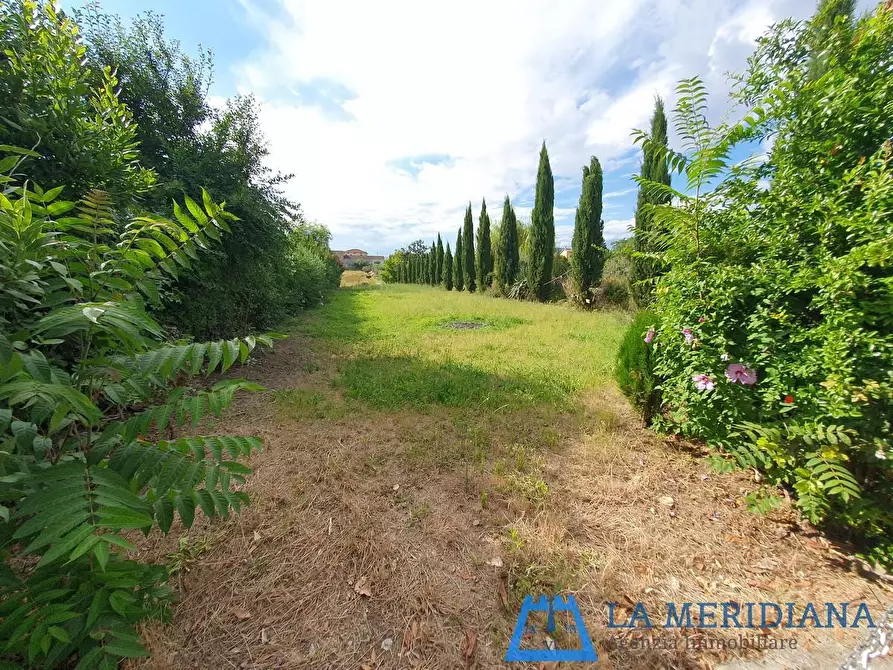 Immagine 34 di Terratetto in vendita  a Larciano