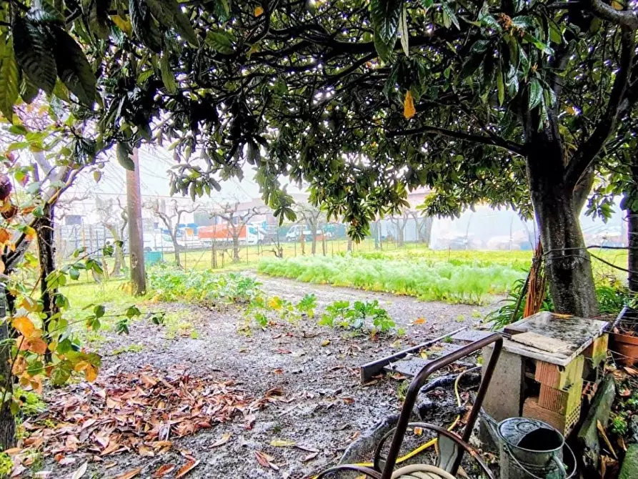 Immagine 21 di Casa semindipendente in vendita  a Sarzana