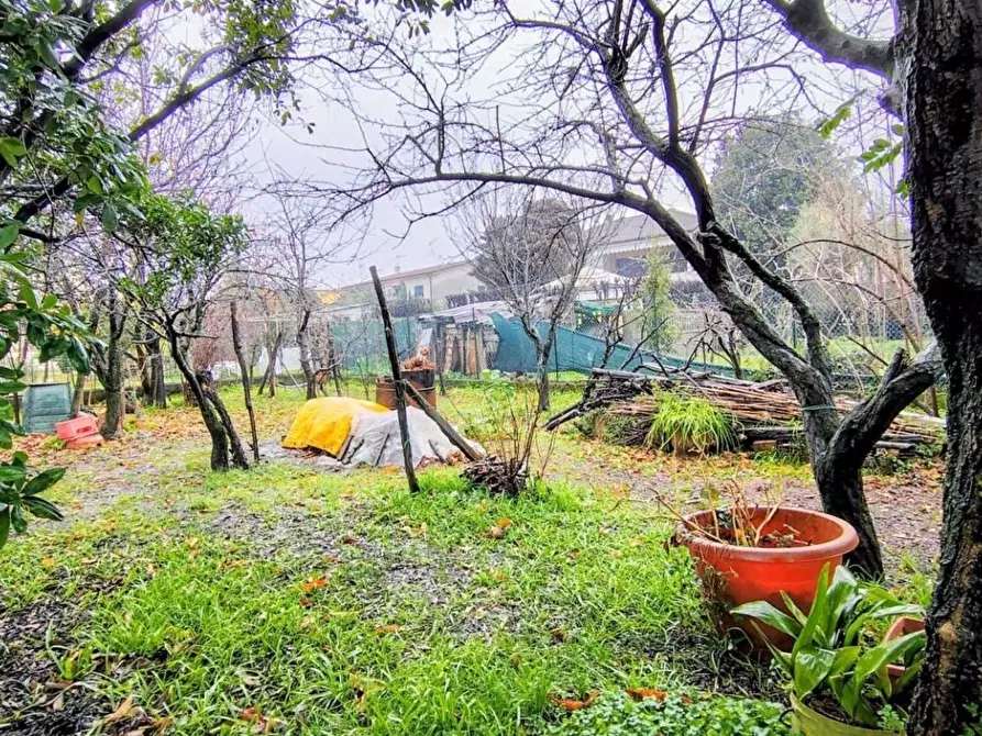 Immagine 22 di Casa semindipendente in vendita  a Sarzana