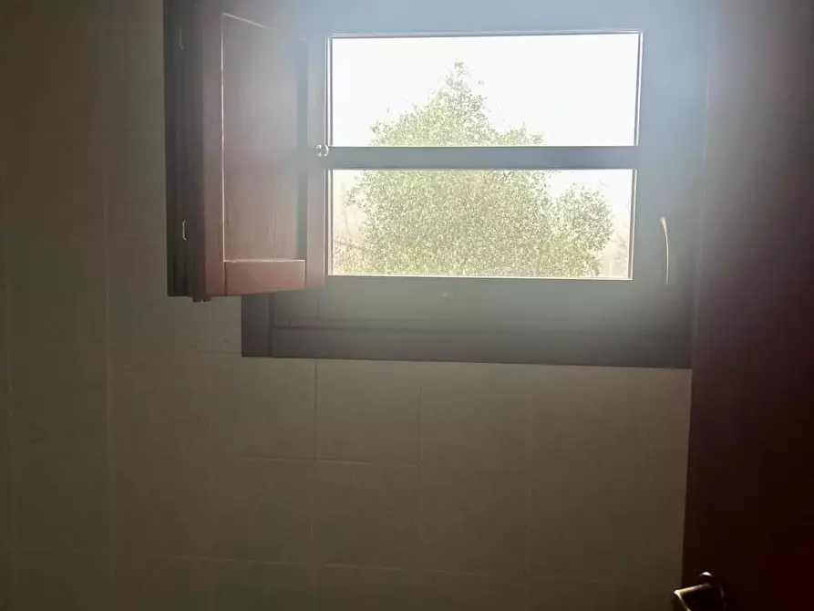 Immagine 10 di Appartamento in affitto  a Tresana