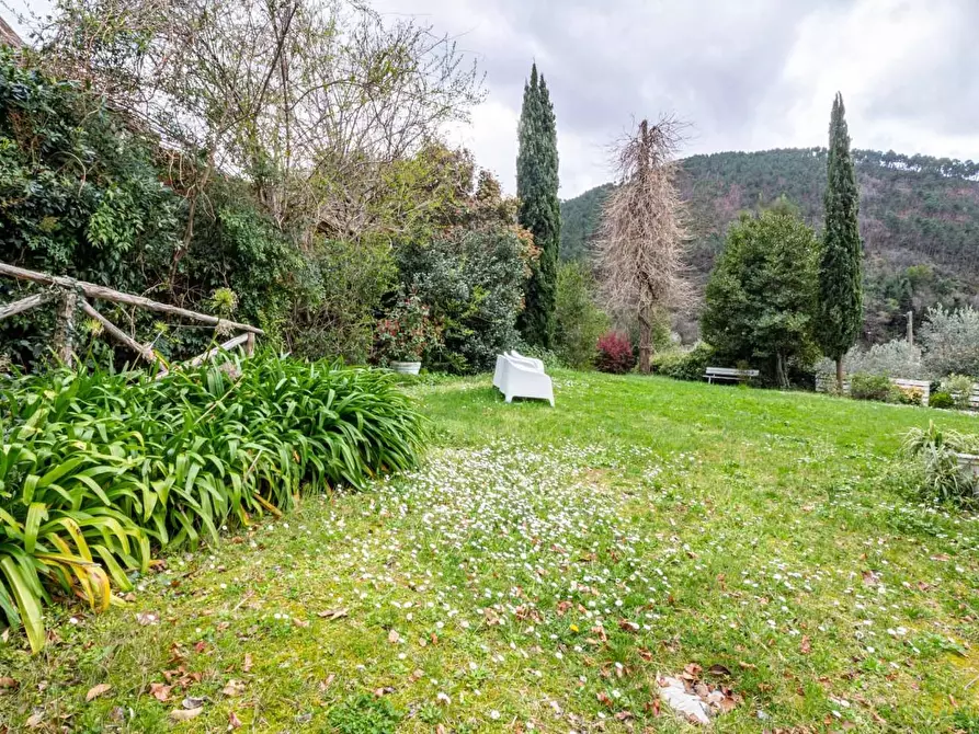 Immagine 18 di Appartamento in vendita  a Calci