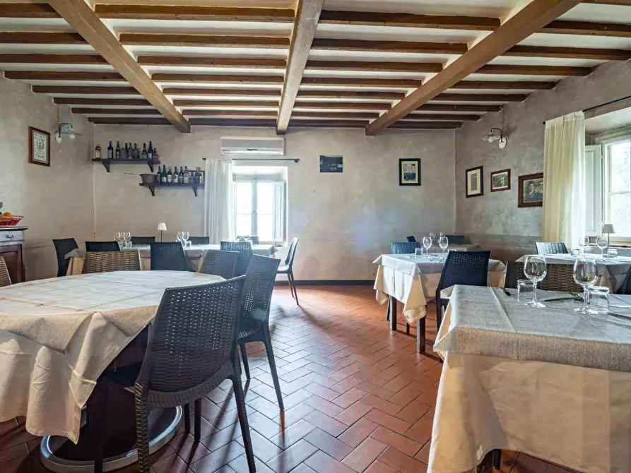 Immagine 5 di Appartamento in vendita  a Calci