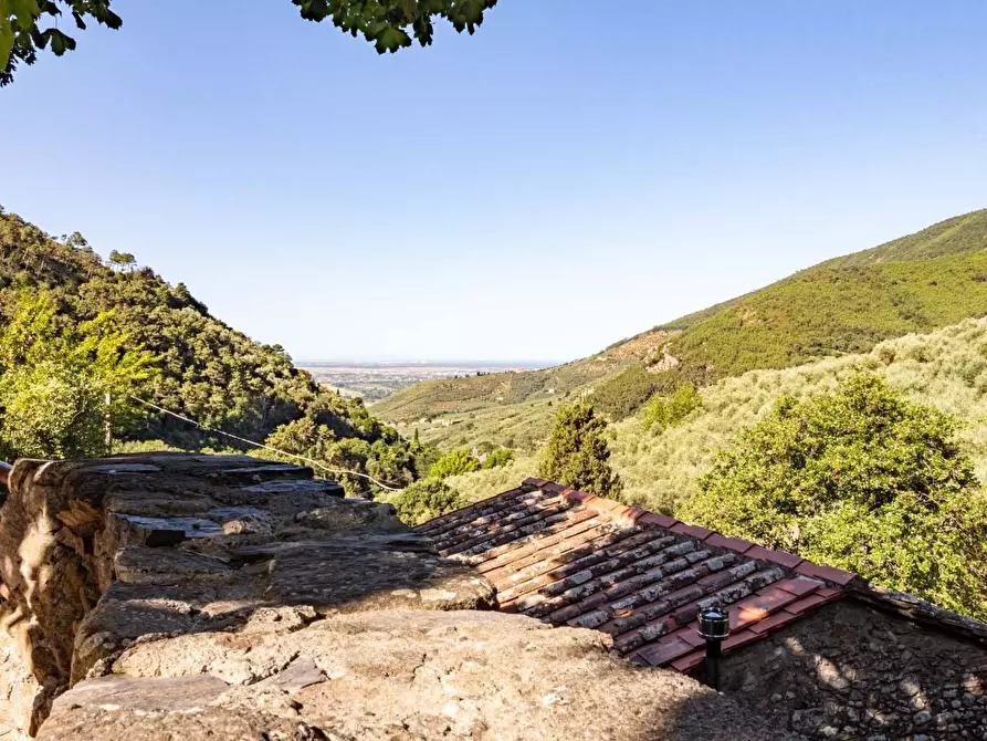 Immagine 27 di Appartamento in vendita  a Calci