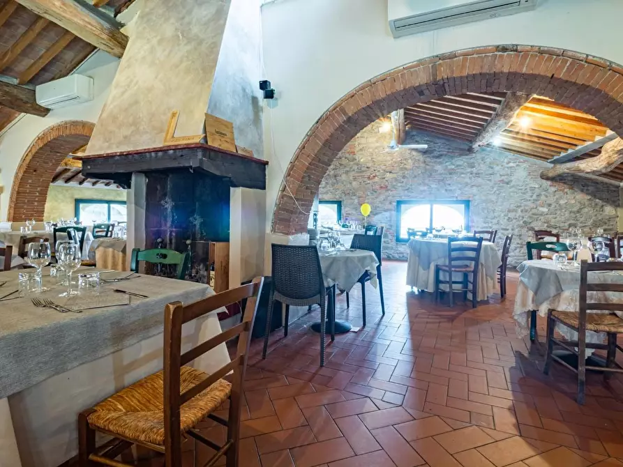 Immagine 11 di Appartamento in vendita  a Calci