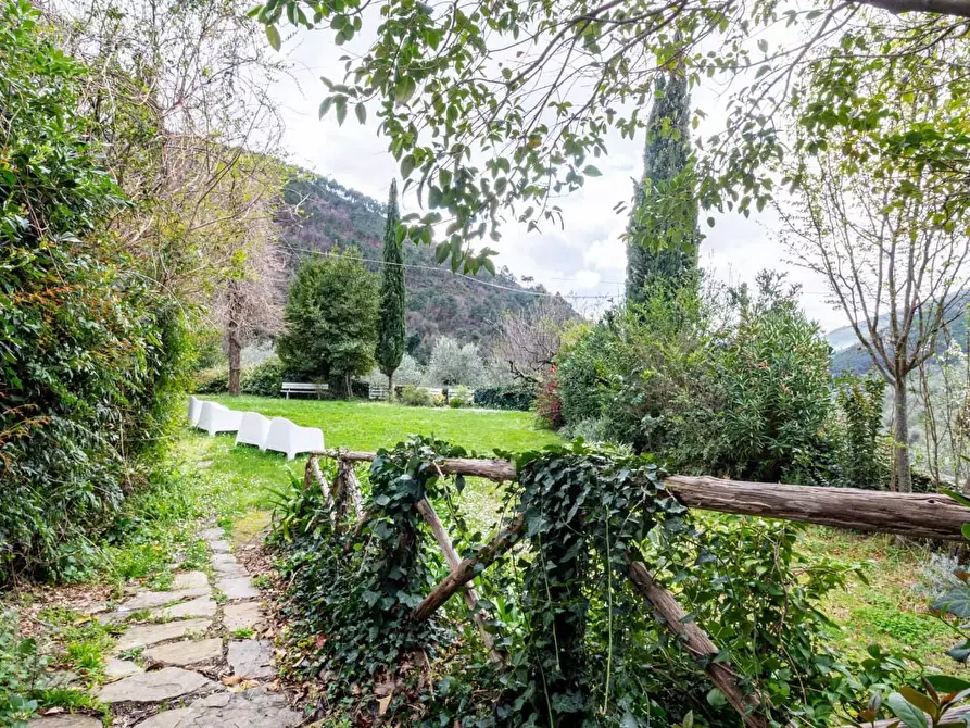 Immagine 16 di Appartamento in vendita  a Calci