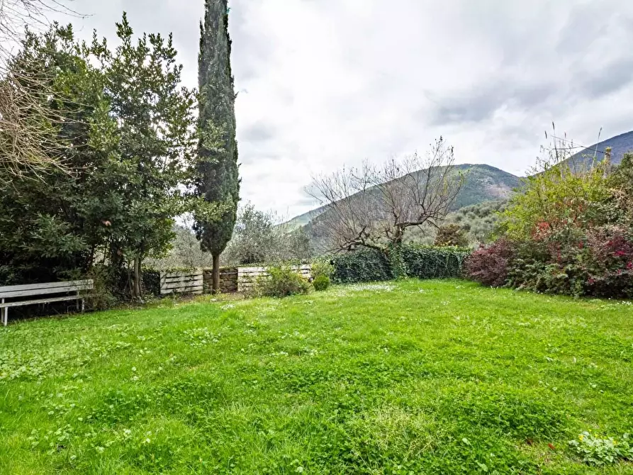 Immagine 19 di Appartamento in vendita  a Calci