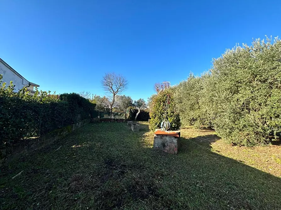 Immagine 6 di Terreno residenziale in vendita  a Ponsacco