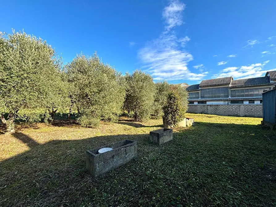 appartamento in vendita a Ponsacco