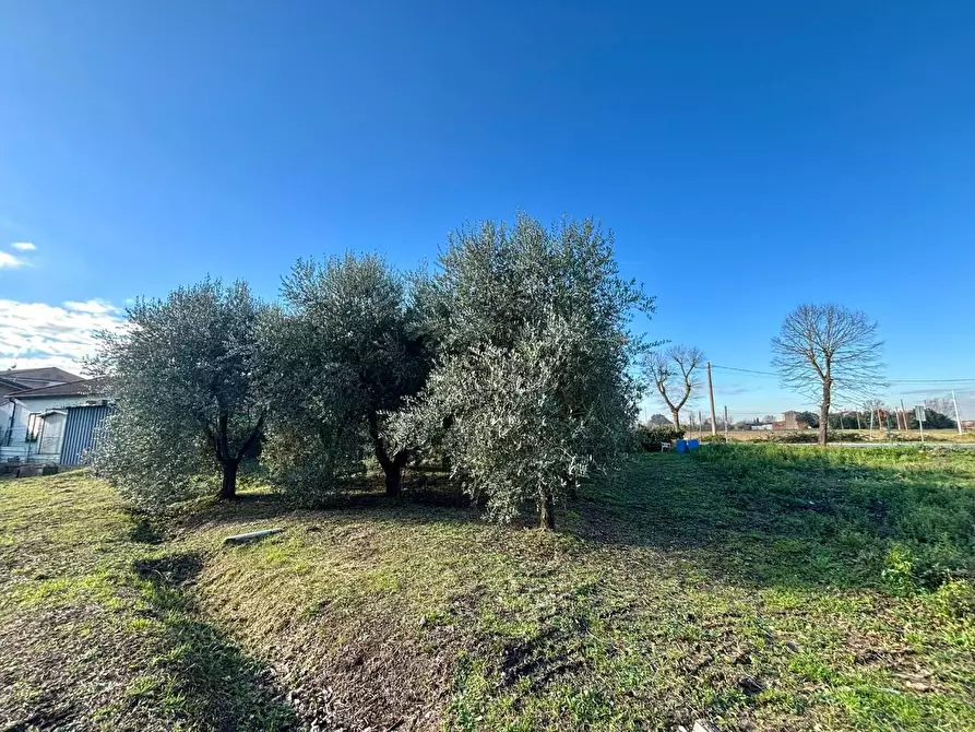 Immagine 4 di Terreno residenziale in vendita  a Ponsacco