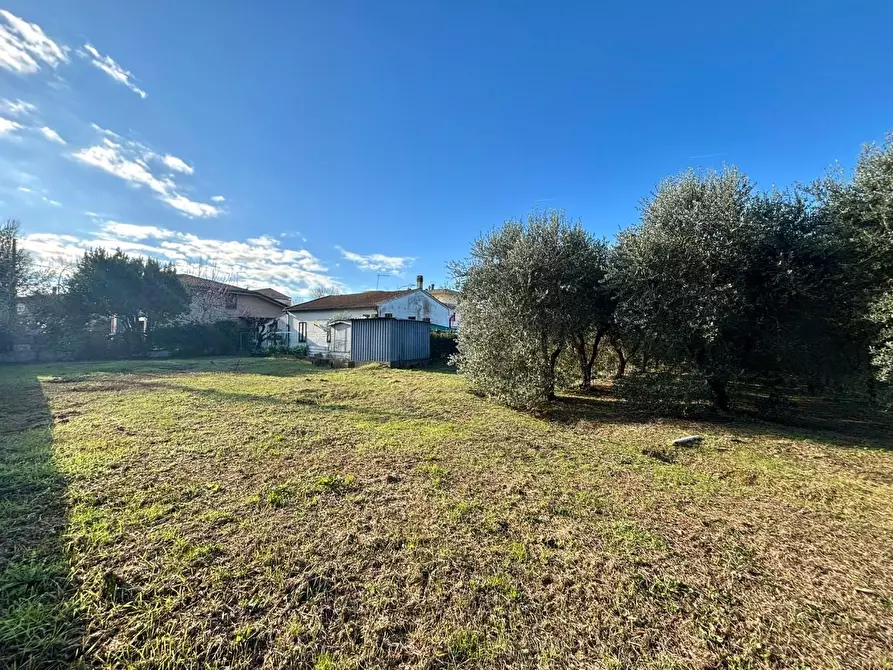 Immagine 5 di Terreno residenziale in vendita  a Ponsacco