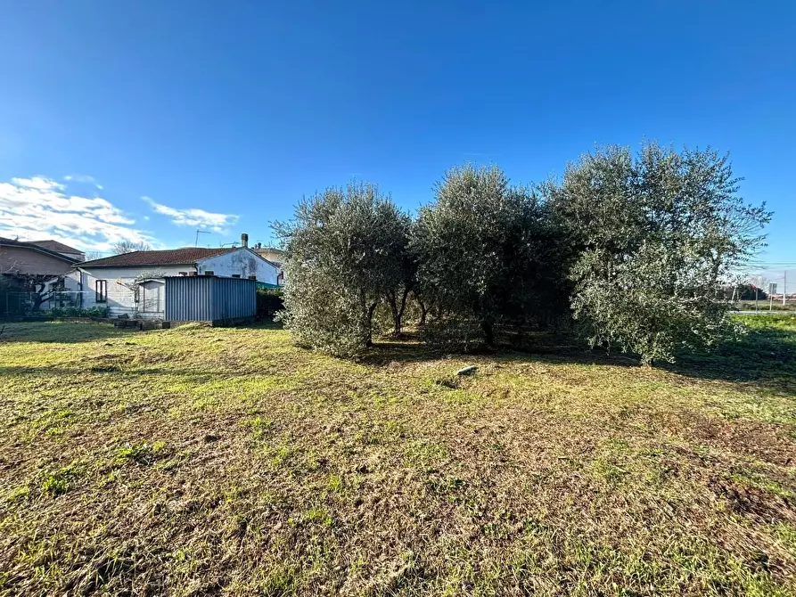 Immagine 8 di Terreno residenziale in vendita  a Ponsacco