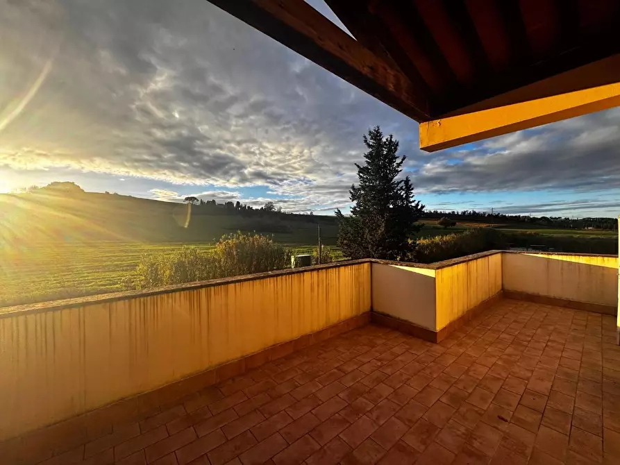 Immagine 15 di Villetta a schiera in vendita  a Terricciola