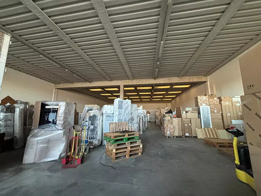 Immagine 8 di Capannone industriale in vendita  a Peccioli