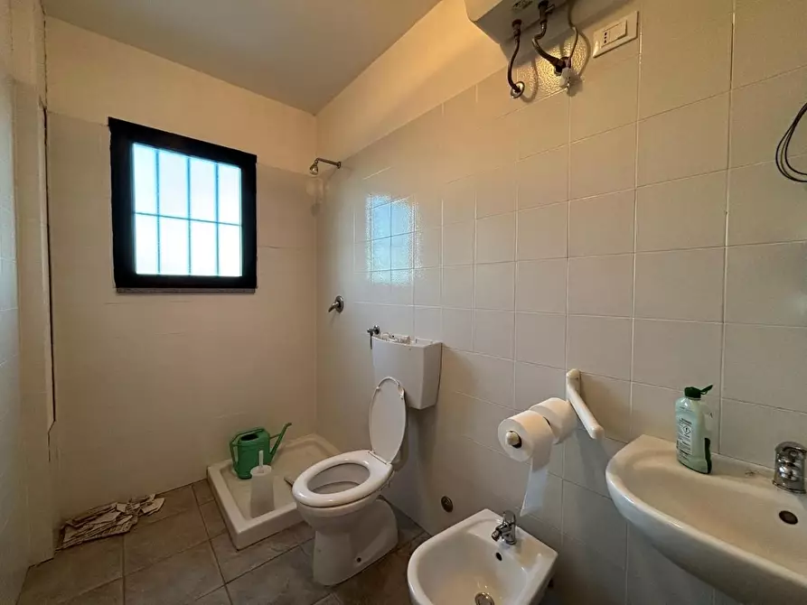 Immagine 5 di Capannone industriale in vendita  a Peccioli