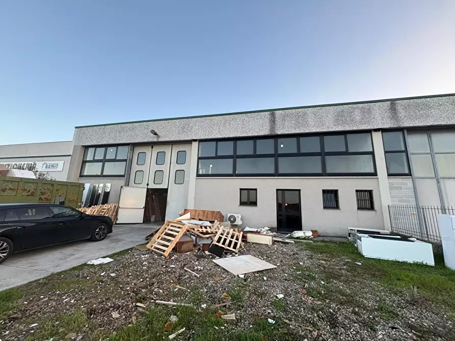 Immagine 7 di Capannone industriale in vendita  a Peccioli