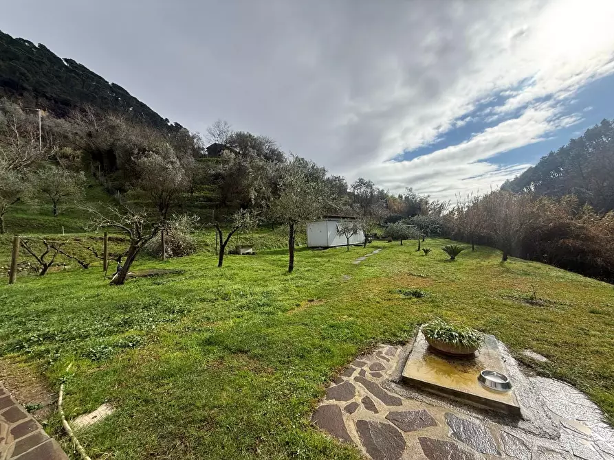Immagine 24 di Villa in vendita  a Massa