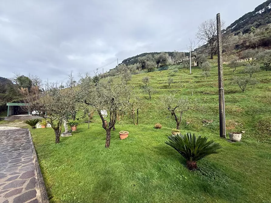 Immagine 27 di Villa in vendita  a Massa
