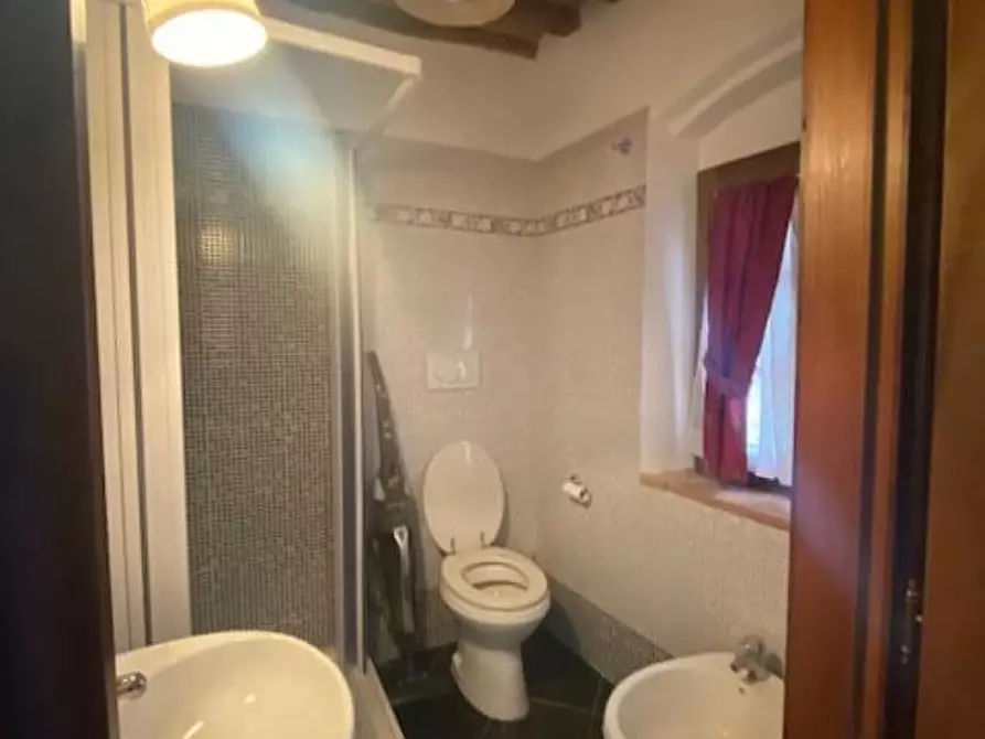 Immagine 3 di Appartamento in affitto  a Buti