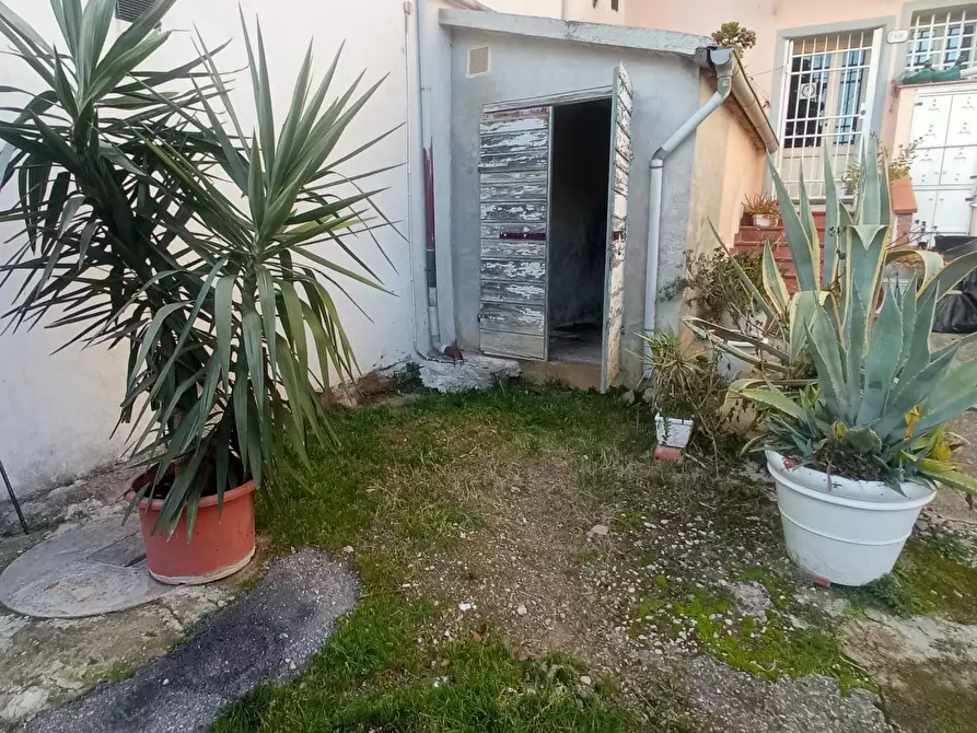 Immagine 16 di Terratetto in vendita  a San Miniato