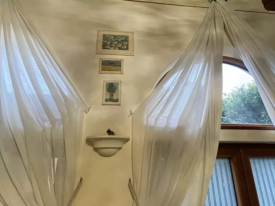 Immagine 24 di Appartamento in affitto  a Vicopisano