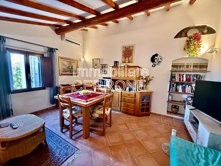 Immagine 3 di Appartamento in vendita  a Cecina