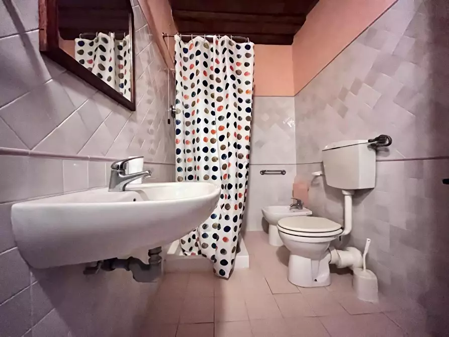 Immagine 28 di Casa colonica in vendita  a Vinci