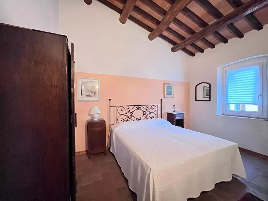 Immagine 23 di Casa colonica in vendita  a Vinci