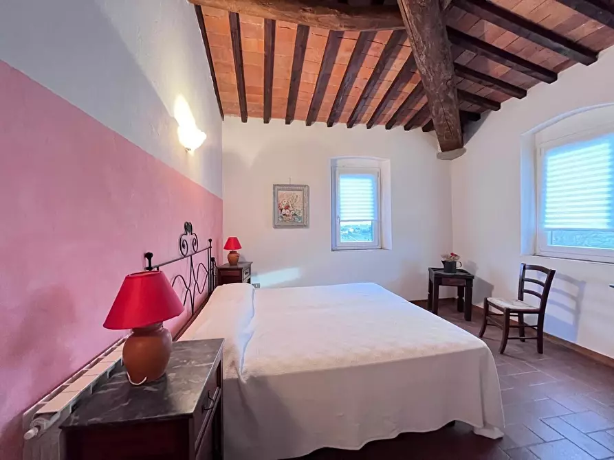 Immagine 16 di Casa colonica in vendita  a Vinci