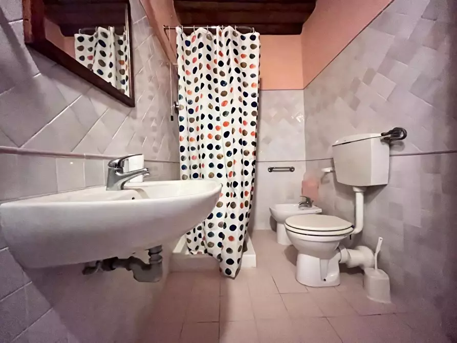 Immagine 26 di Casa colonica in vendita  a Vinci