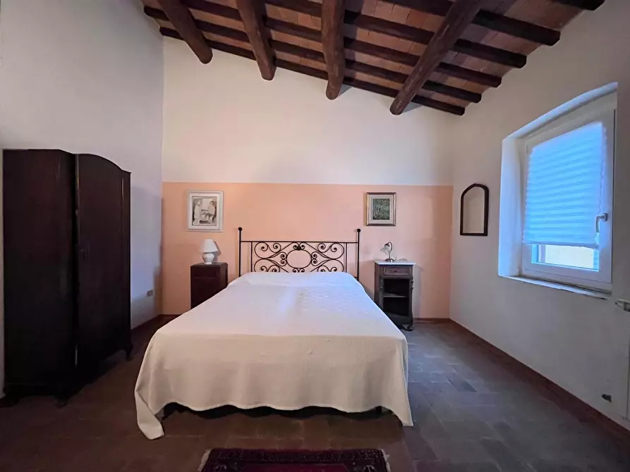 Immagine 25 di Casa colonica in vendita  a Vinci